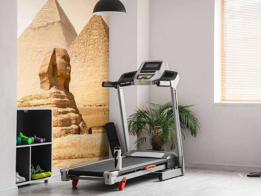 Piramiden en de Sfinx