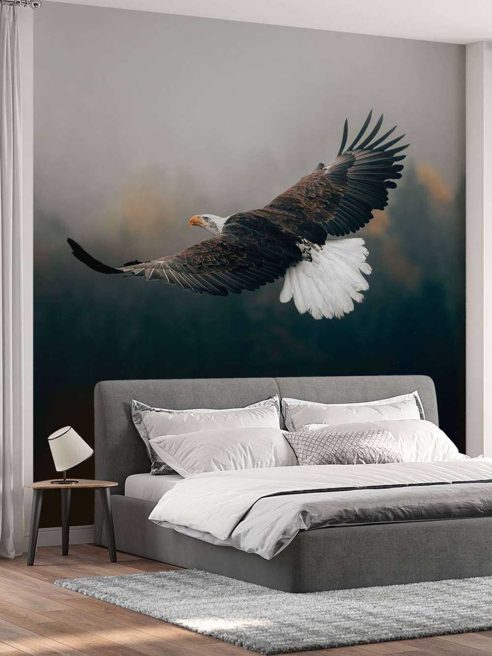 Zeearend boven het bos