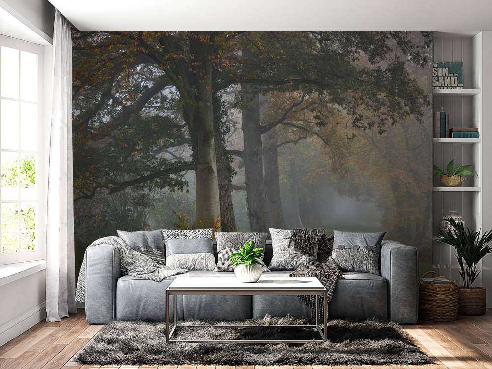 Laantje met bomen in de mist