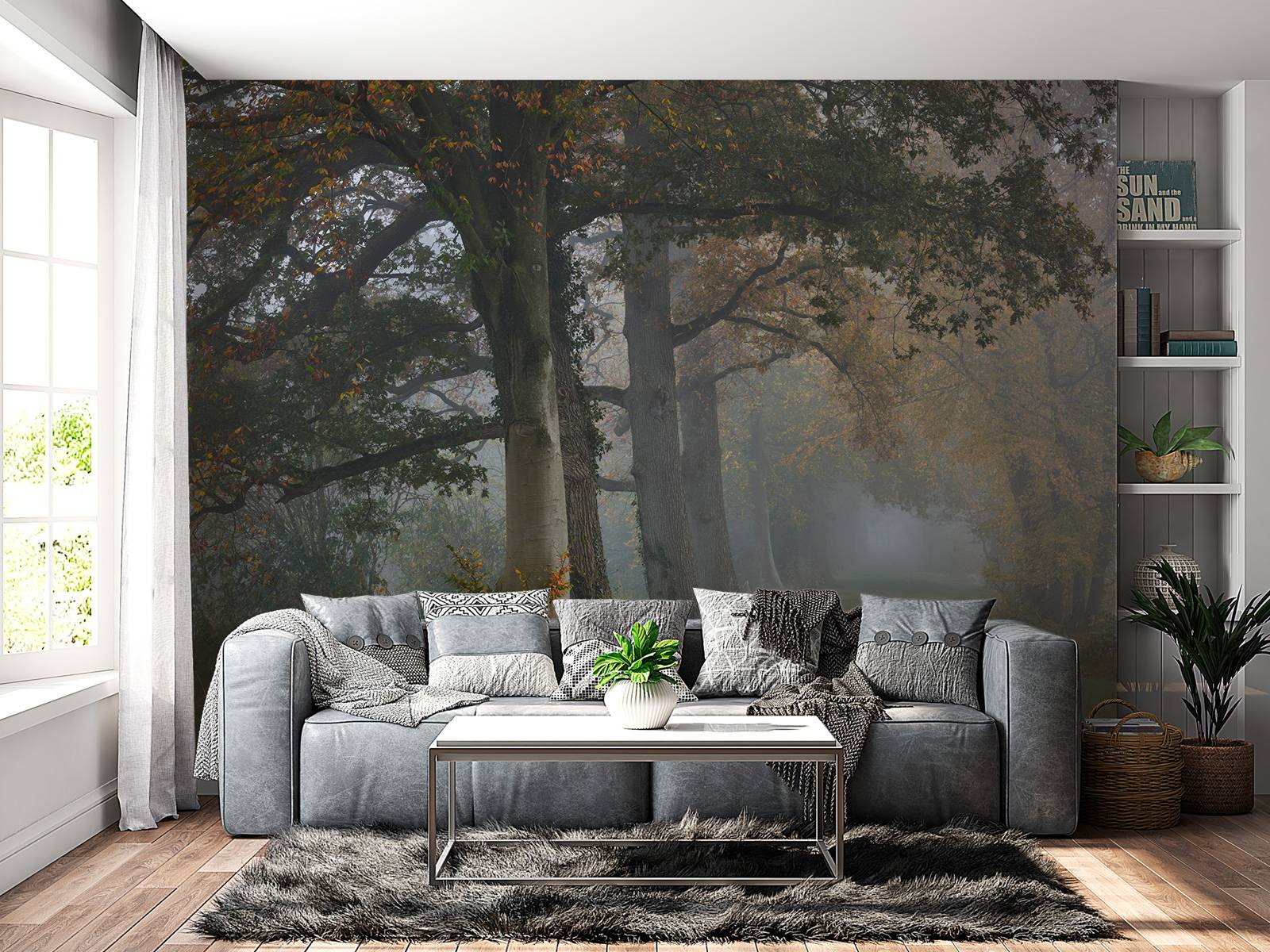 Laantje met bomen in de mist
