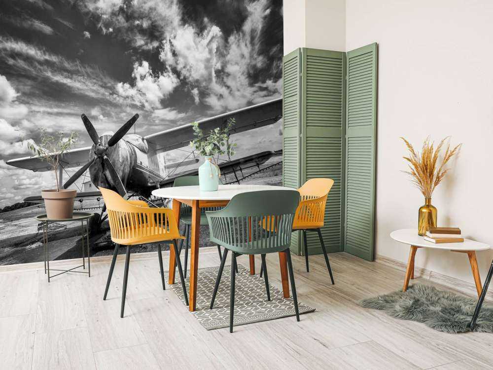 Vintage vliegtuig onder een bewolkte hemel