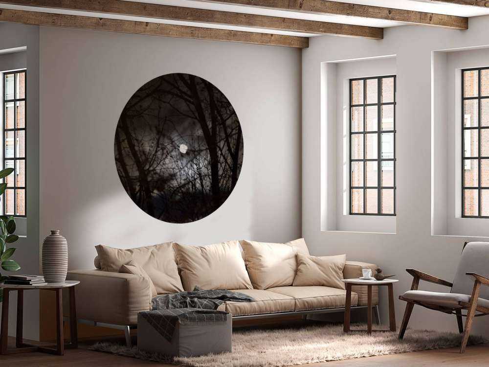 Volle maan vanuit het bos