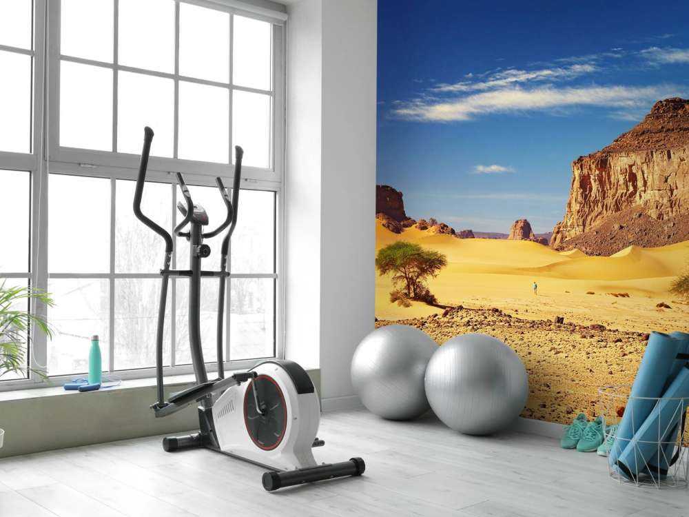 Woestijnlandschap met duinen en rotsen