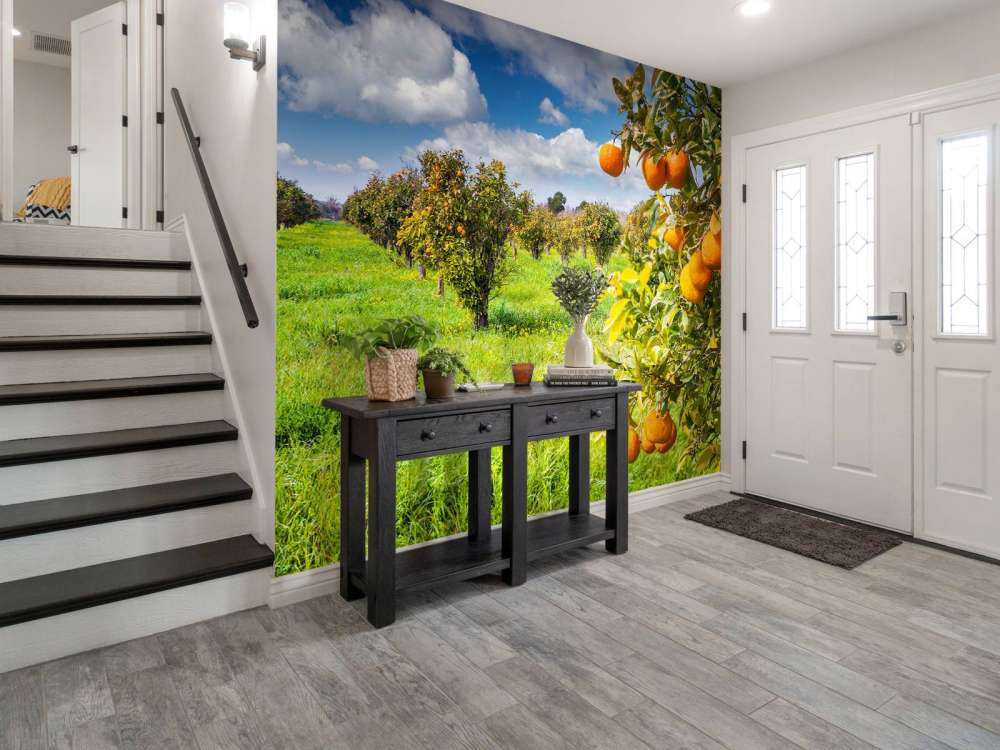 Sinaasappelbomen in Sicilië