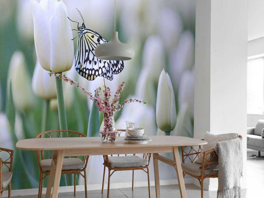 Vlinder op een witte tulp