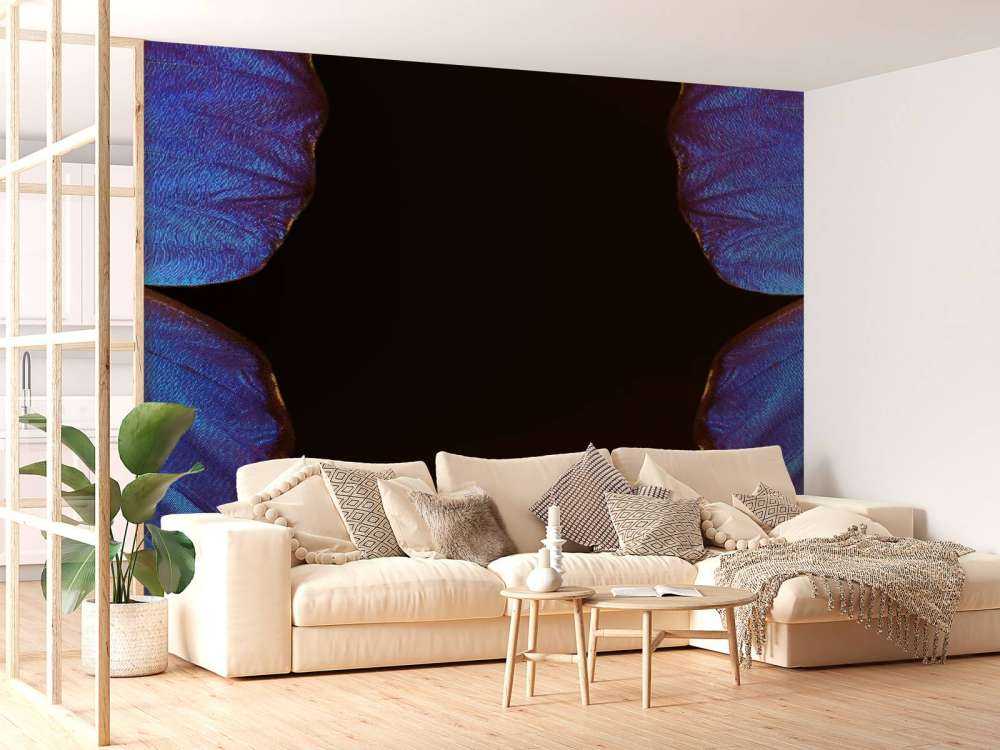 Twee vlinders met een zwarte achtergrond