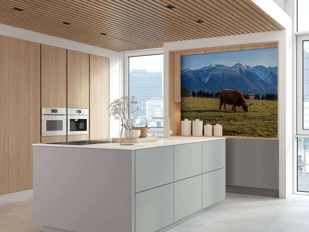 Hooglander met ingesneeuwde bergen