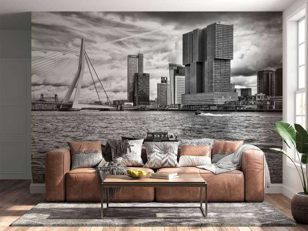 Erasmusbrug en Skyline in Monochroom