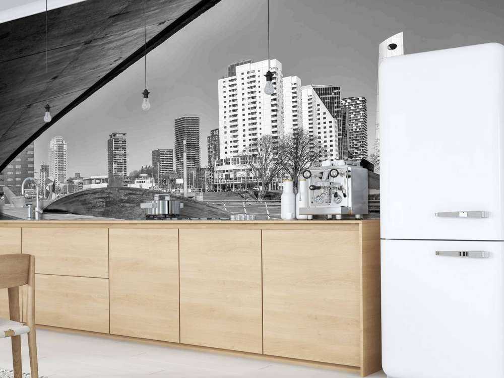 Rotterdamse Skyline onder de Brug