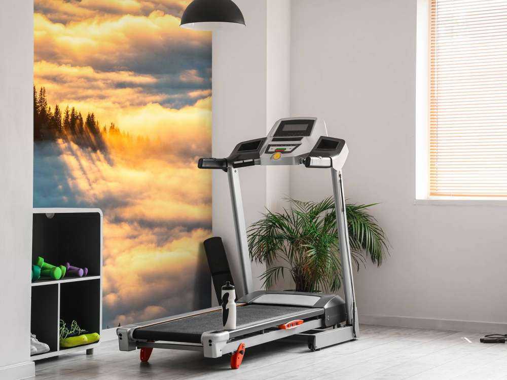 Zonlicht over besneeuwd bergwoud