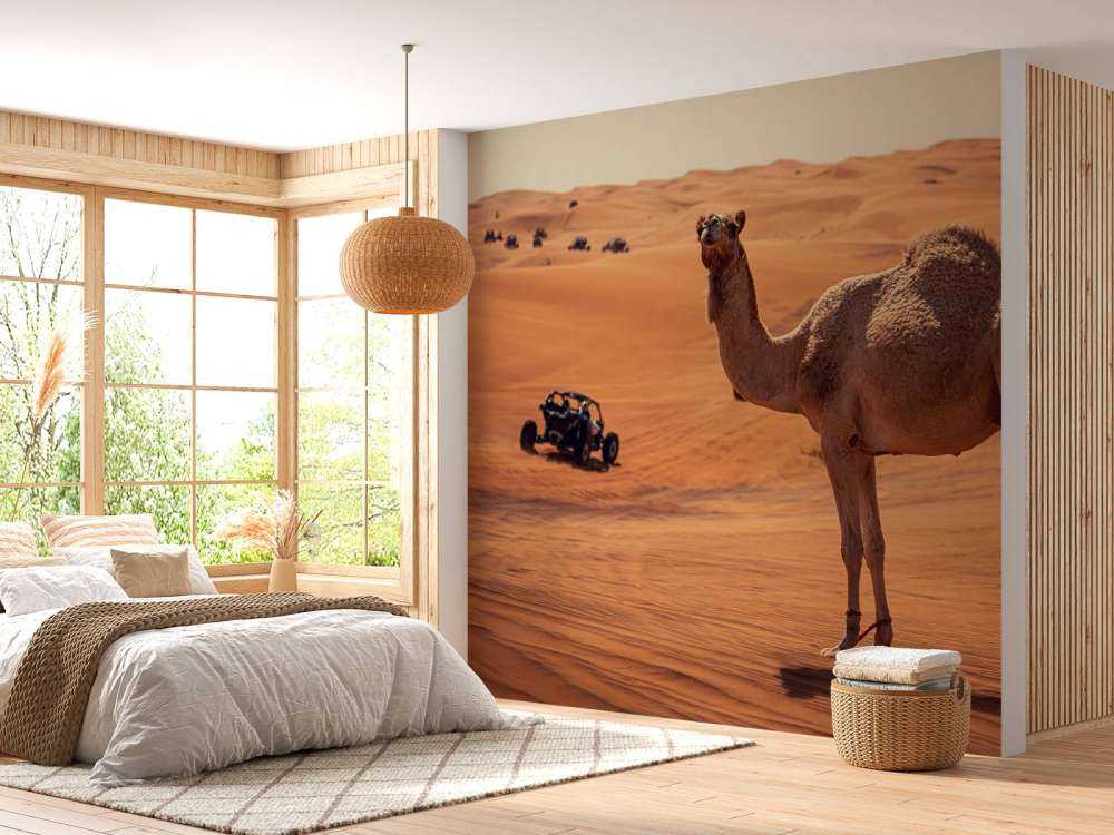 Offroad avontuur in de woestijn