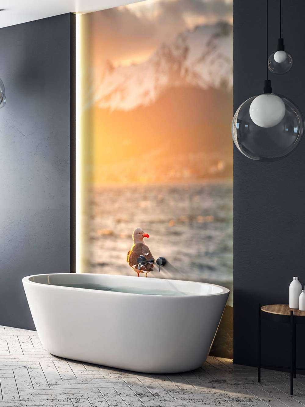 Meeuw bij zonsondergang aan fjord