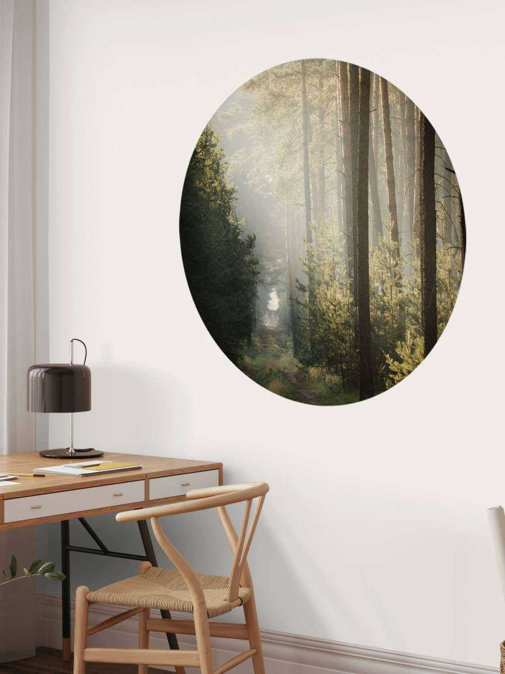 Lichtspel in het Dennenbos