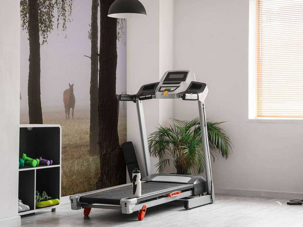 Paarden in de Ochtendnevel