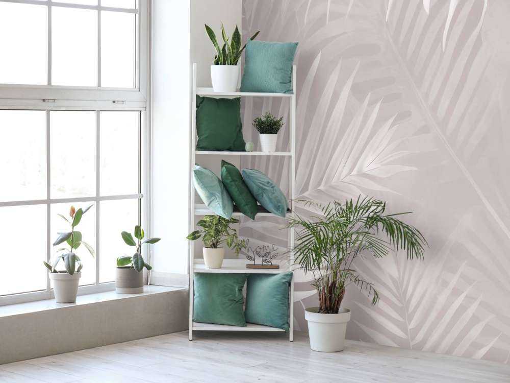 Foggy palm leaves Pink