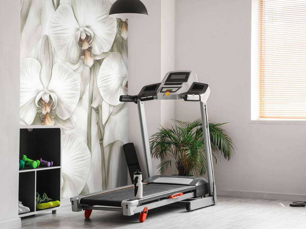 Orchids Paradise Yellow