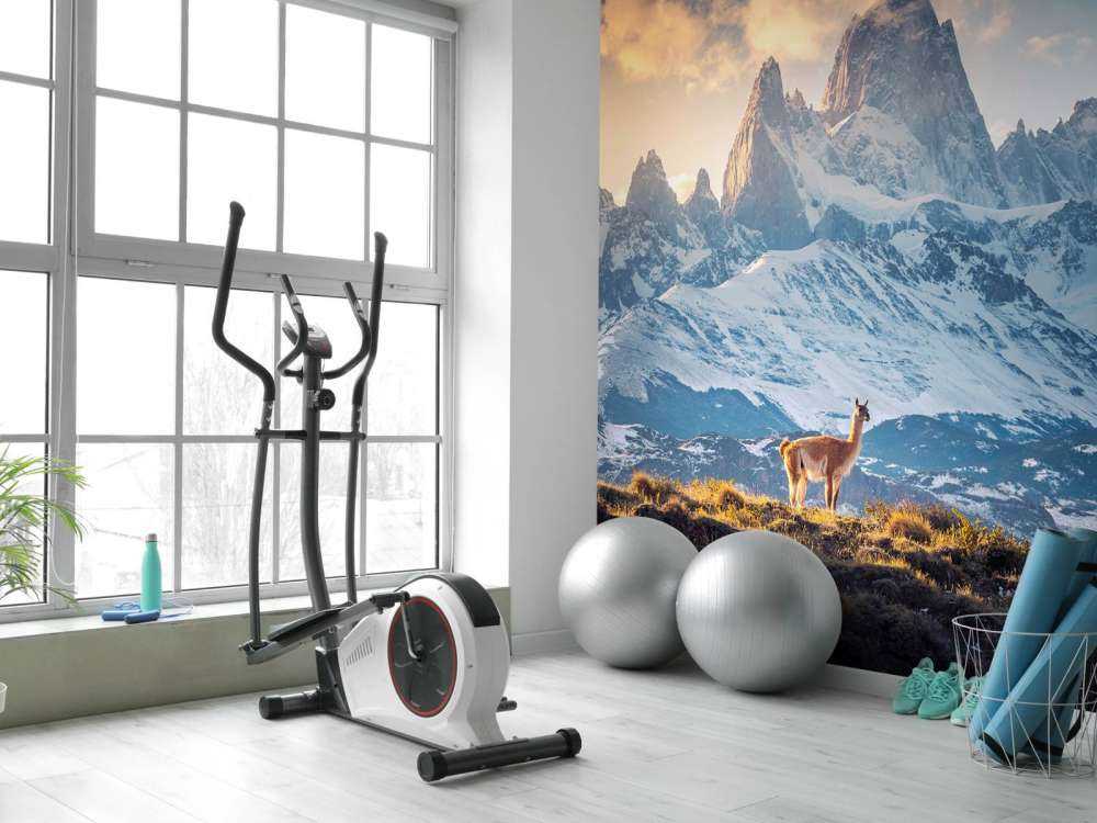 Guanaco bij besneeuwde bergtoppen