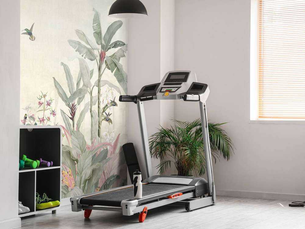 Kolibries en tropische bladeren