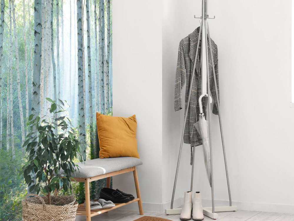 Berkenbos in ochtendlicht