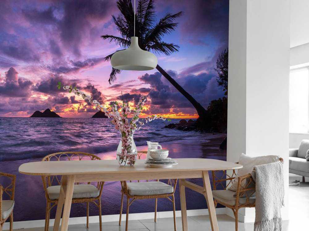 Tropische Kust Bij Paarse Zonsondergang