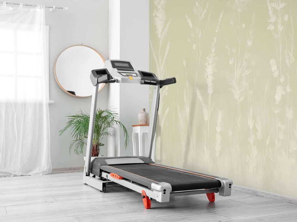 Lavender Glade Seamless Sage Green