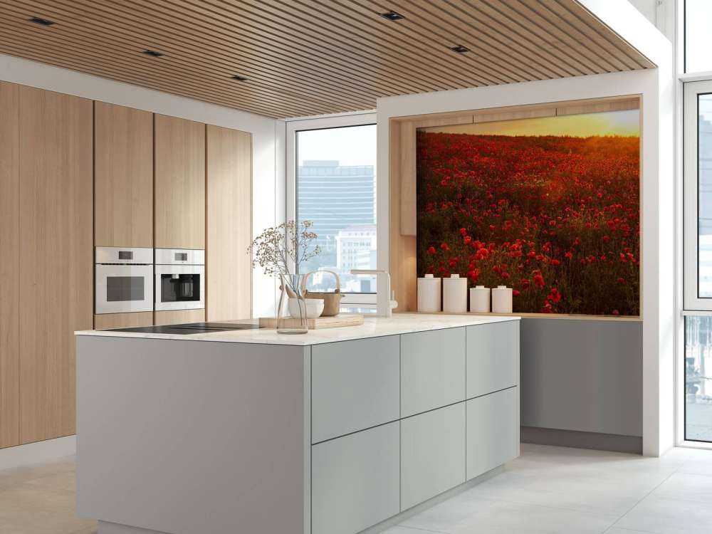 Klaprozen op een heuvel