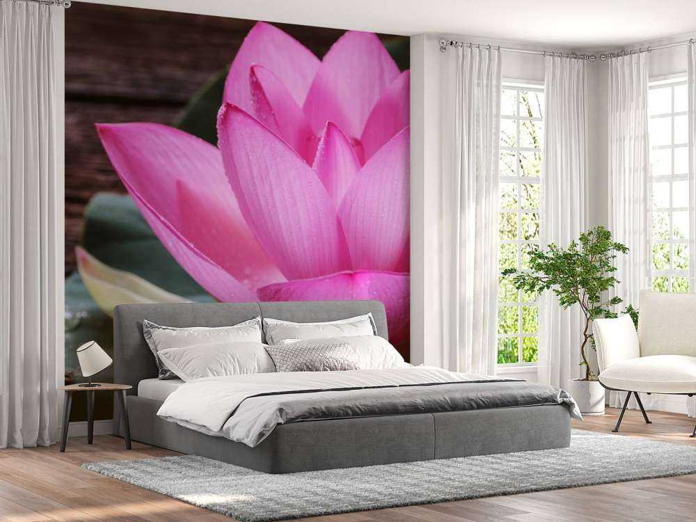 Close-up roze lotus