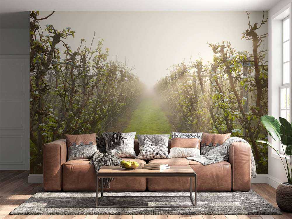 Perenbloesem in mist