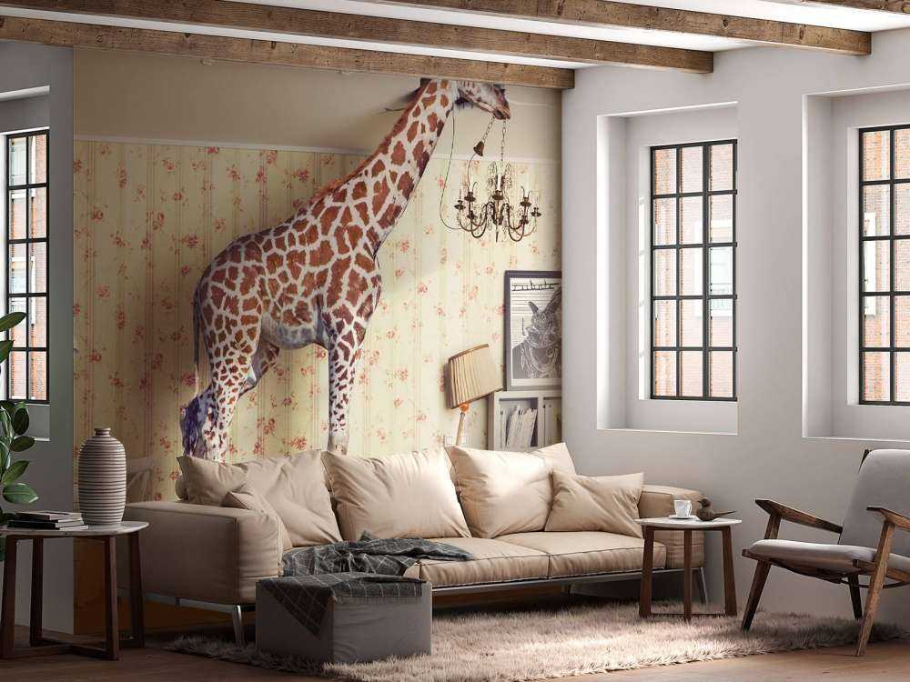 Giraffe in de woonkamer
