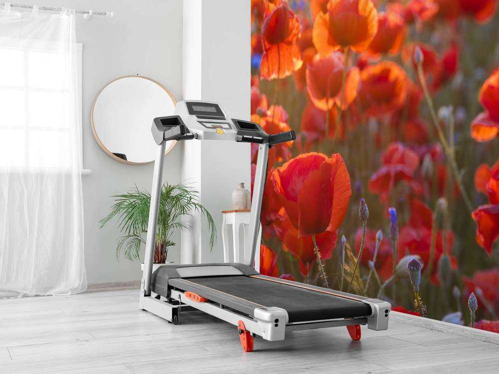 Klaprozen en korenbloemen