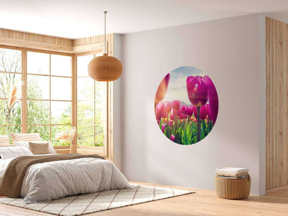 Tulpenveld roze