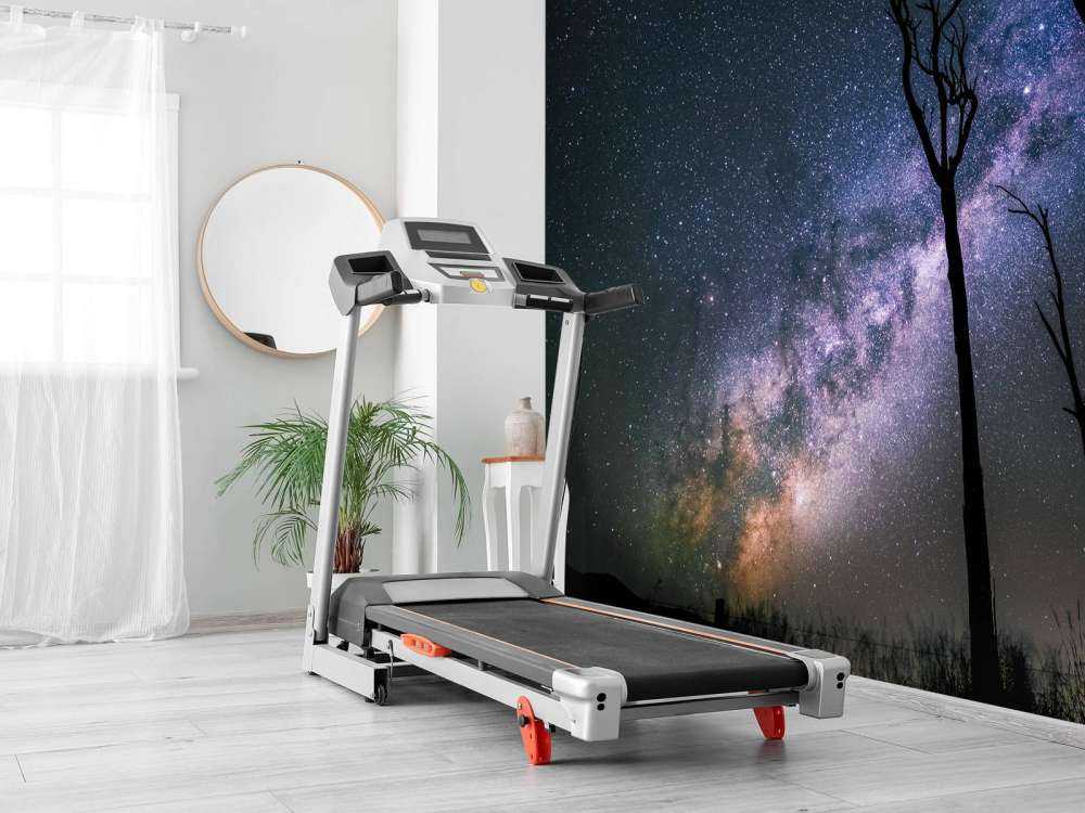 Sterren tussen de bomen