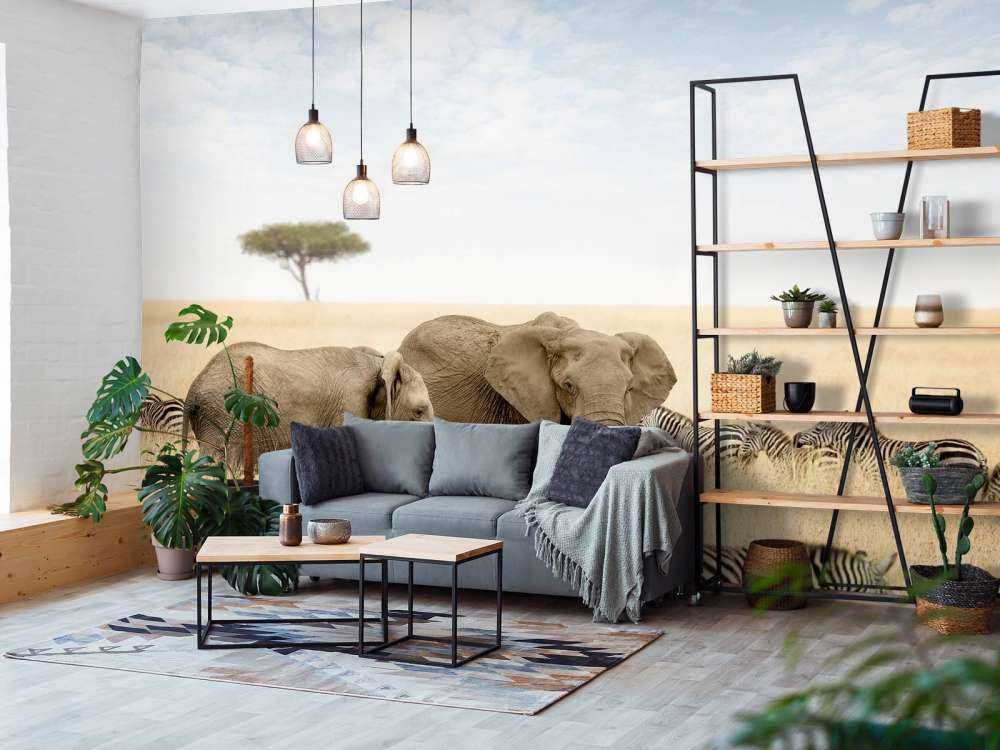 Olifanten en zebra's