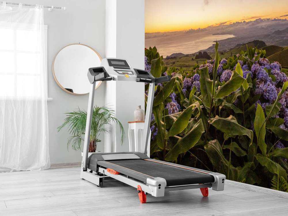 Zonsondergang met hortensia's