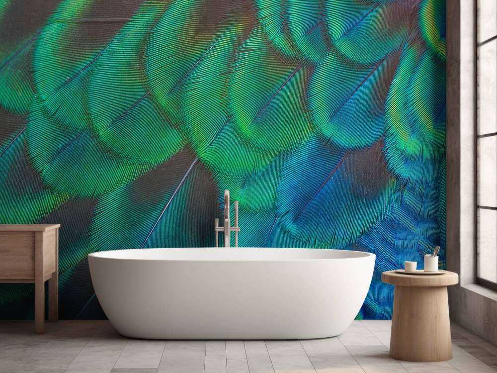 Close-up van pauwenveren