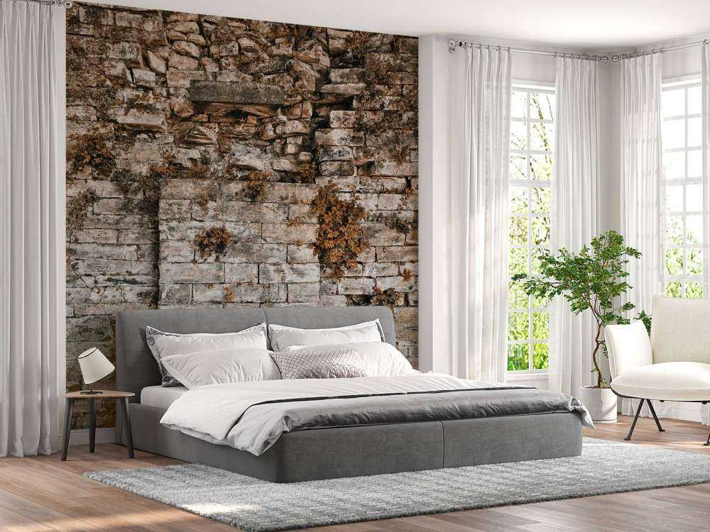 Begroeide muur in de herfst