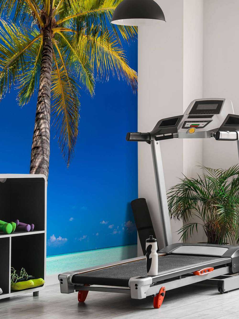 Palmboom op de Malediven