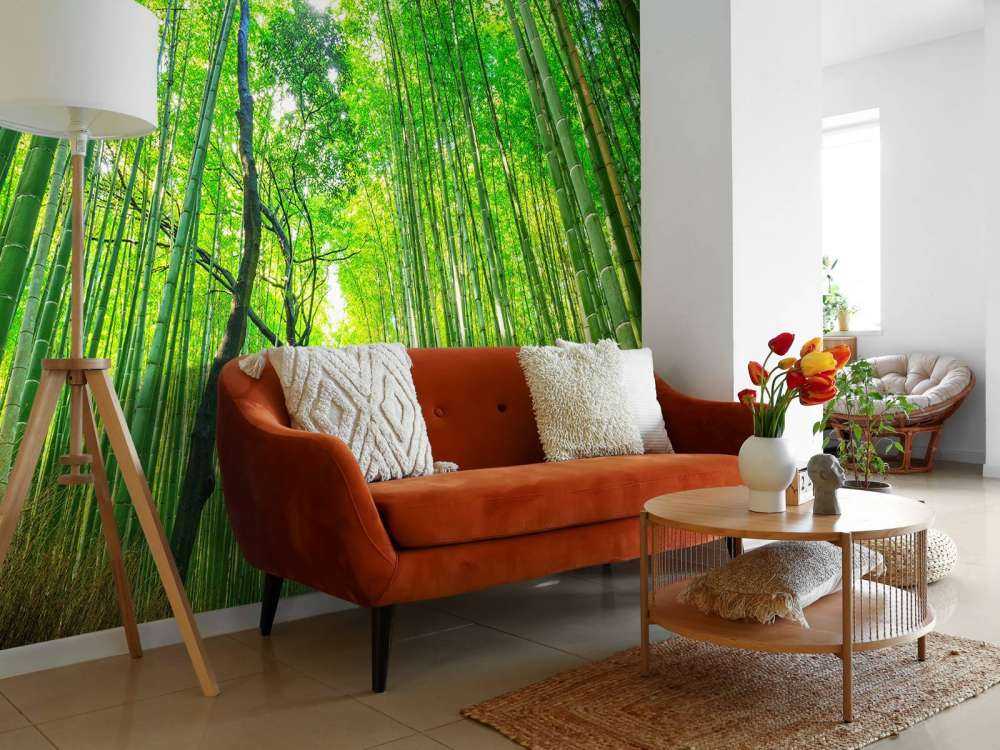 Bamboebos van Arashiyama