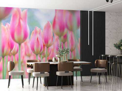 Close-up roze tulpen