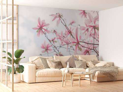 Magnolia