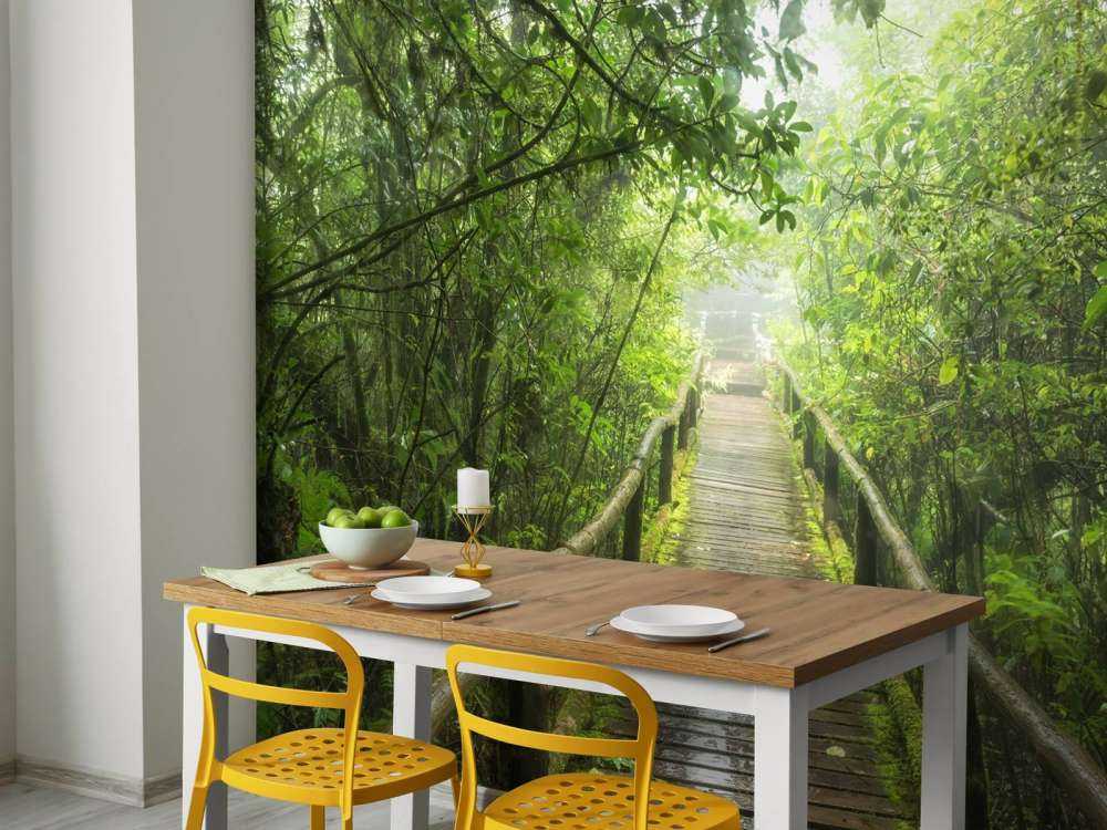 Groene, mistige jungle