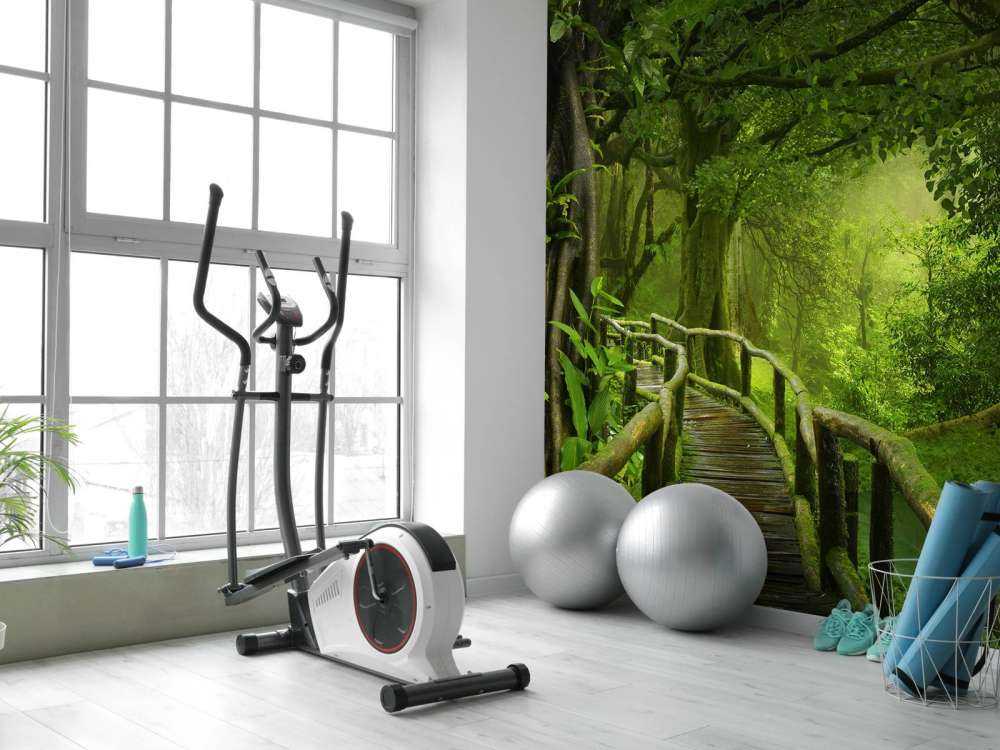 Houten brug door een groene jungle