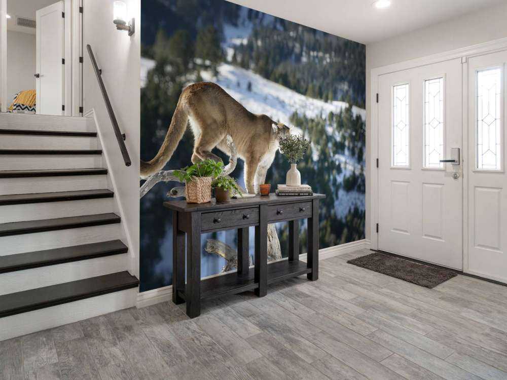 Bergleeuw op een dode boom