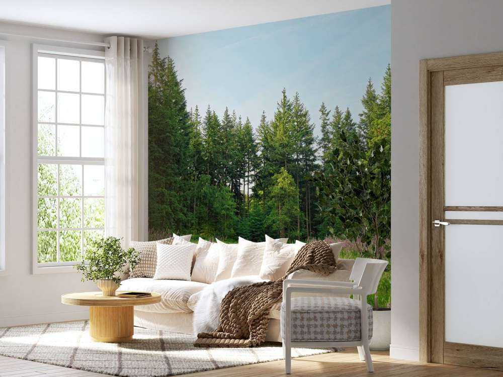 Verlaten plek in het bos