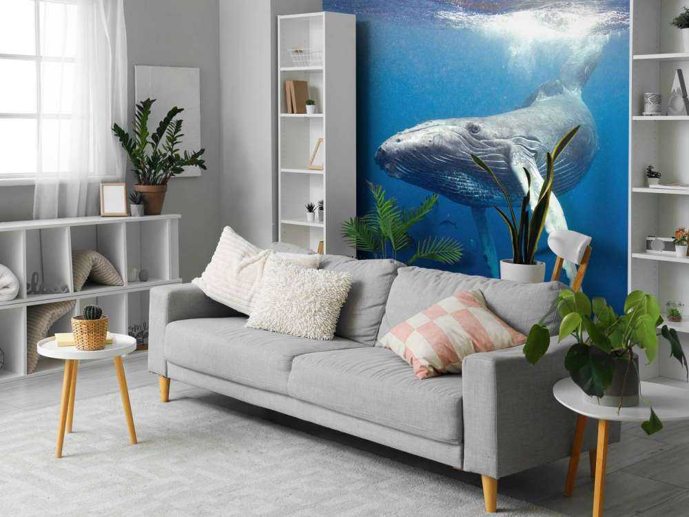Bultrug walvis