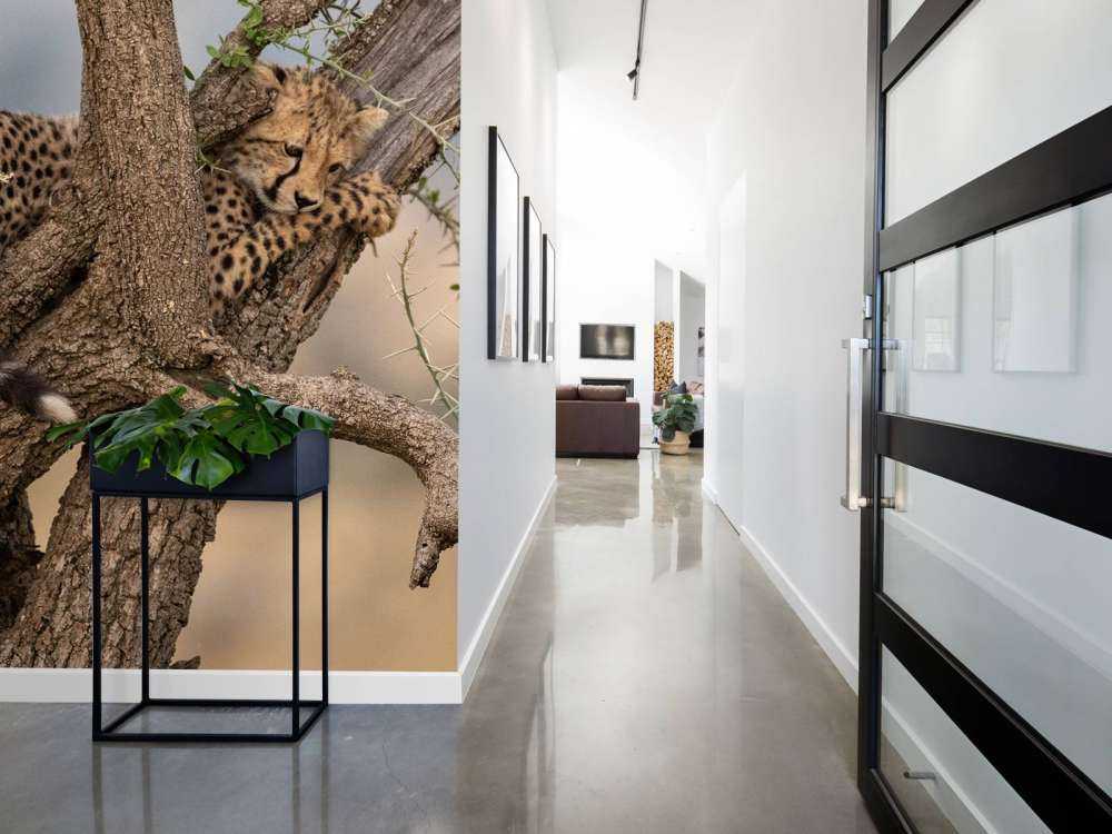 Luipaard krabt aan een boom