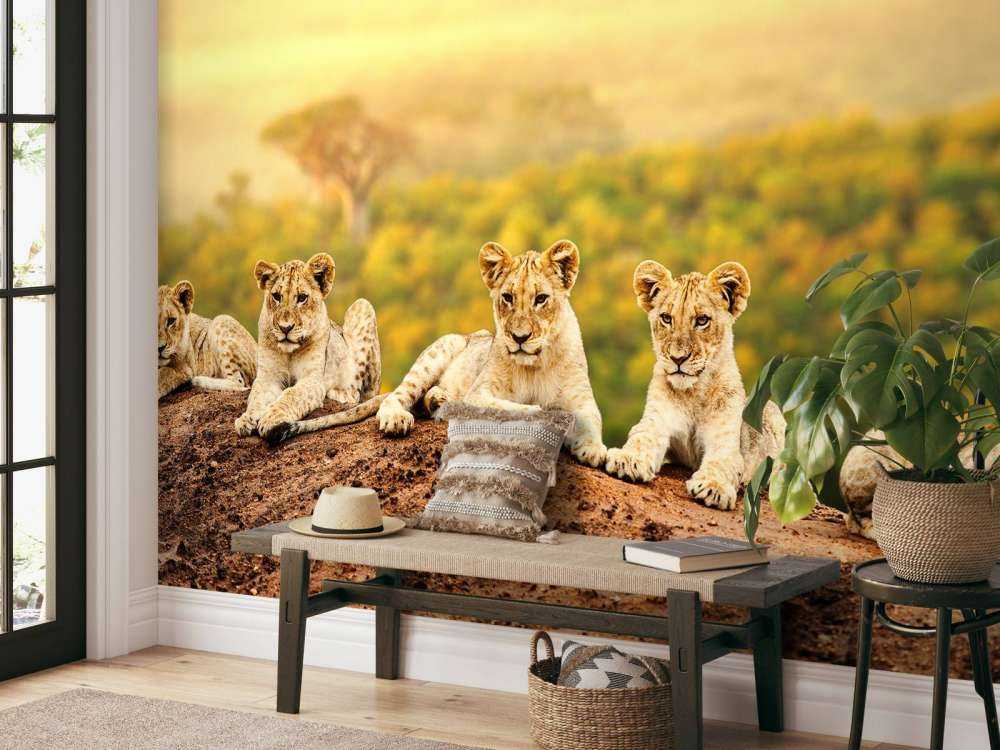 Leeuwenwelpen wachten op hun moeder