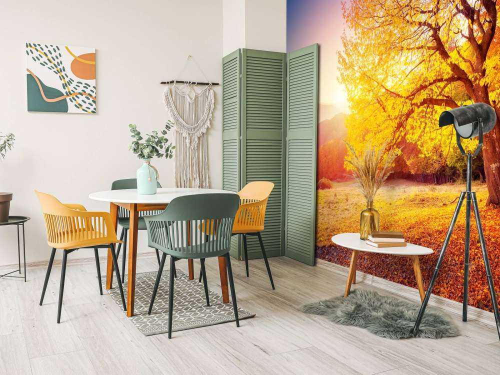 Prachtige beukenboom in de herfst