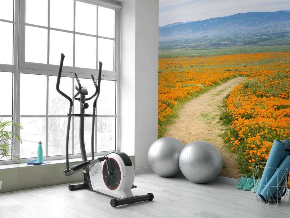 Oranje klaprozenveld in Californië