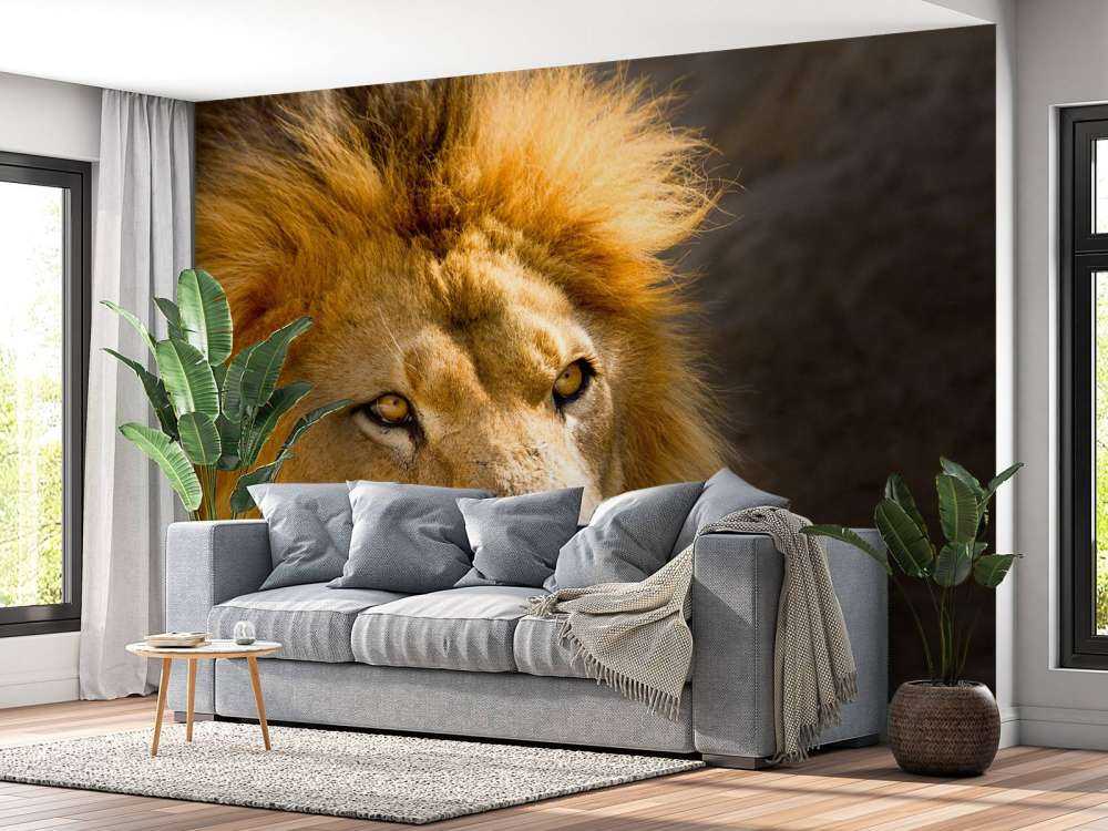 Starende Leeuw Close-Up